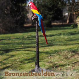 Beeld papegaai voor in de tuin BBW28390A