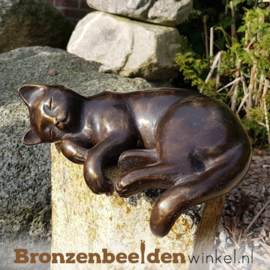 Kattenbeeldje van brons BBWFHZK