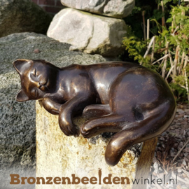 Originele verjaardagcadeautjes "Zonnende kat" BBWFHZK