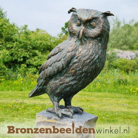 Beeld uil "Oehoe" brons BBWR88878