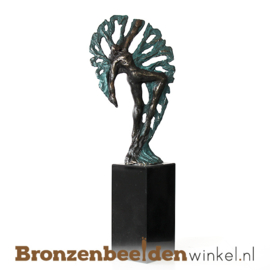 Beeldje promoveren "Ontwikkeling" BBW004br64