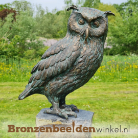 Beeld uil "Oehoe" brons BBWR88878