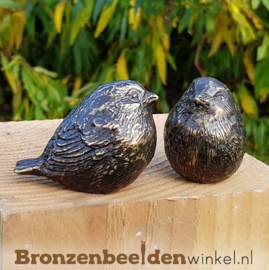 NR 11 | Twee kleine winterkoninkjes BBW0405br