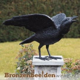 Bronzen raaf beeld BBW50418