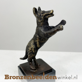 NR 4 | Condoleance hond "Enthousiaste Herder" BBW043br08