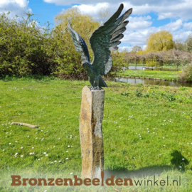 Beeld adelaar met gespreide vleugels BBWR89001