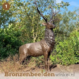 NR 1 | Kado voor jager ''Groot bronzen herten beeld'' BBW47232