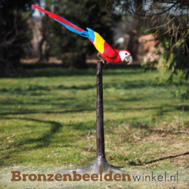 Beeld papegaai voor in de tuin BBW28390B