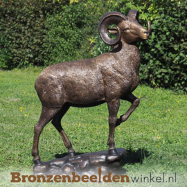 Groot beeld ram met hoorns BBW1295