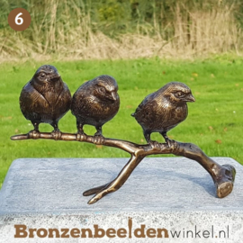 NR 6 | Cadeau vrouw 79 jaar ''Bronzen mussen op tak'' BBW0399br