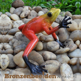 Bronzen beeld rode regenwoudkikker BBW0984BR