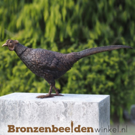 Bronzen fazanten