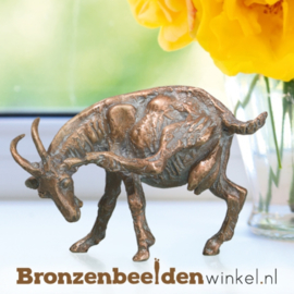 Bronzen geit beeld BBW76630