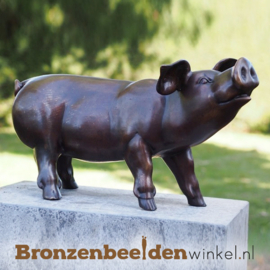 Beeld varken in brons BBW61083-3