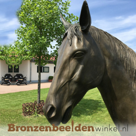 NR 6 | Bronzen paard "Baleno" BBW883475