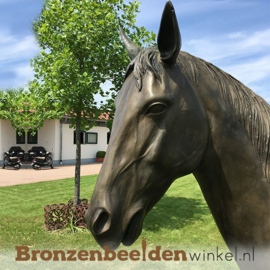 Levensecht bronzen paard "Baleno" BBW883475