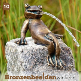 NR 10 | Bronzen beeld Tilburg ''Waterornamentje grappige kikker'' BBWR88737