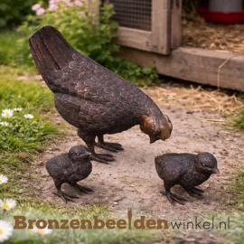 Beeld kip met kuikens BBW1126br