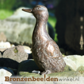 Bronzen eend BBW87092