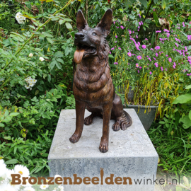 Gedenksteen hond "Herdershond" BBW56814gd