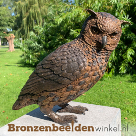 NR 7 | Cadeau man 69 jaar ''Bronzen uil'' BBW2213