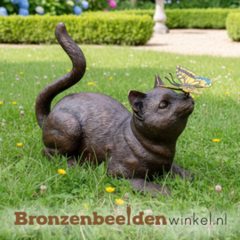 Beeld kat met vlinder BBW1192br