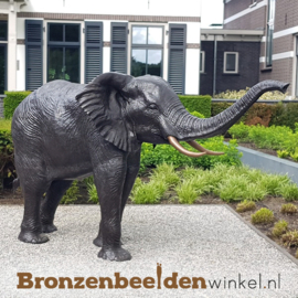 Tuinbeeld grote olifant BBW689br