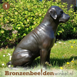 Blijvende herinnering hond