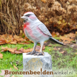 Bronzen barmsijs vogel BBWF6531fa04