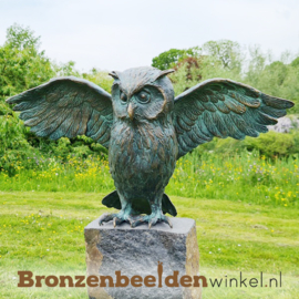 Tuinbeeld uil met gespreide vleugels BBWR88879