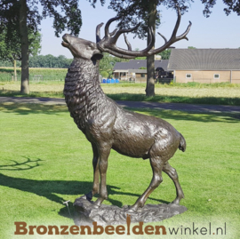 Bronzen hert op rots BBW67010