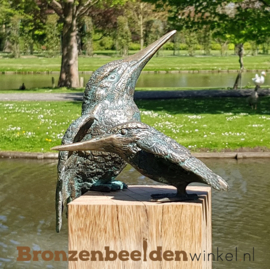 Tuinbeeld ijsvogeltjes BBW88321-89004