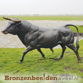 Sterrenbeeld cadeau ''Levensgrote bronzen stier'' BBW76345