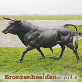 Levensgrote bronzen stier beeld BBW76345