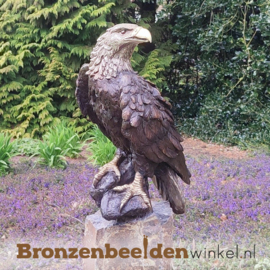 Bronzen witkop adelaar tuinbeeld BBW55956