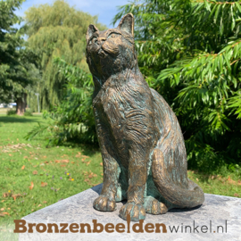 Herinnering overleden kat  BBWR89058