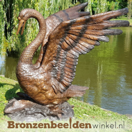 Spuitfiguur zwaan als fontein BBW55874br