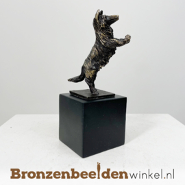 NR 9 | Kleine urn hond "De enthousiaste Collie" BBW043br07as