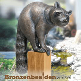 Bronzen wasbeer beeld BBW37260