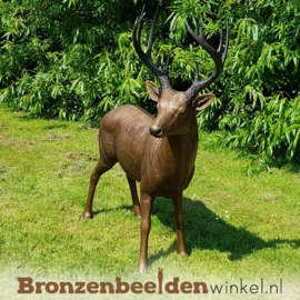 Bronzen beeld hert mannelijk BBW971