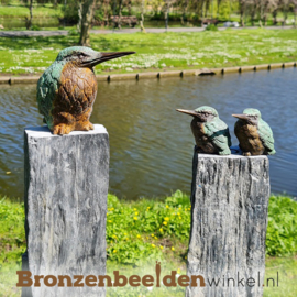 Ijsvogel cadeau ''ijsvogeltjes op sokkels'' BBW88322-2ls