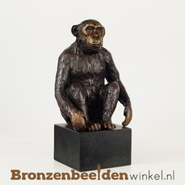 Beeld Chimpansee aap op sokkel BBW1331