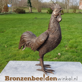 Bronzen beeld haan BBW0484br