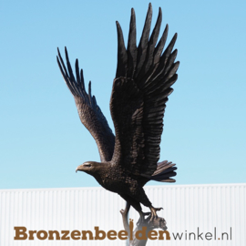 Beeld vliegende zeearend in brons BBW1338br