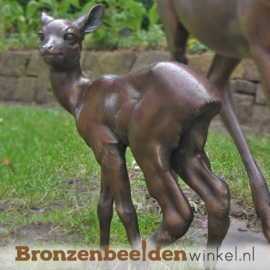 Exclusief bronzen hertje BBW80060