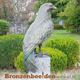 Bronzen rode wouw havik beeld BBWR88758