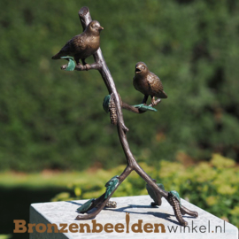 Twee vogeltjes op tak in brons BBW1372br