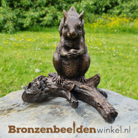 Bronzen eekhoorn beeld BBWAN1168BR