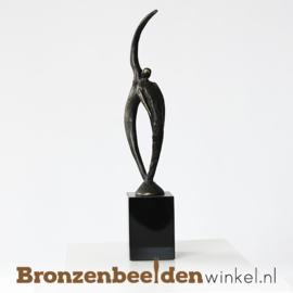 Cadeau voor ongeneselijk zieke  "Schouder om op te huilen" BBW004br91