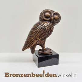 Beeld uil met grote ogen BBW443321br